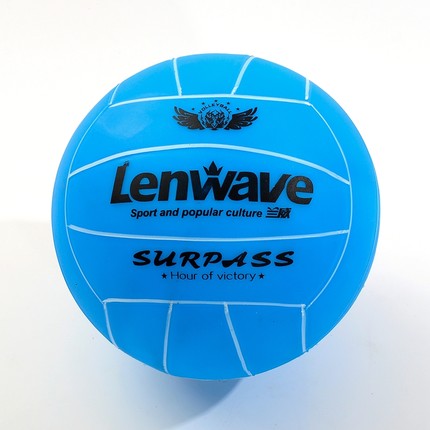 Ballon de volley - Ref 2010843