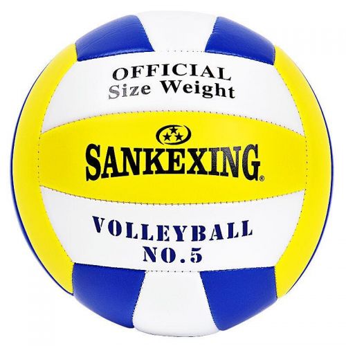 Ballon de volley - Ref 2010865