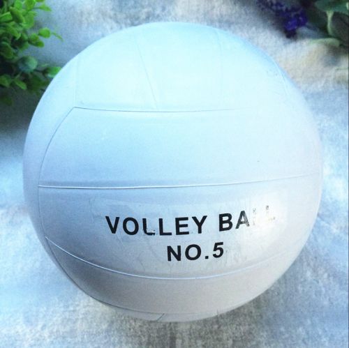 Ballon de volley - Ref 2010873