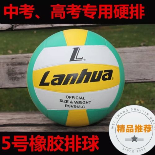 Ballon de volley - Ref 2010884