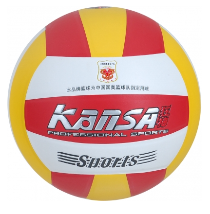 Ballon de volley - Ref 2010899