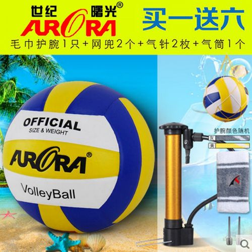 Ballon de volley - Ref 2010901