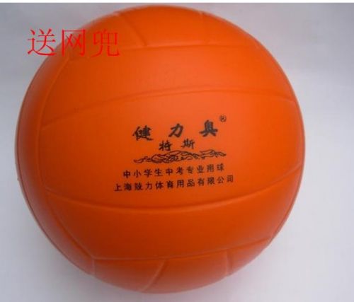 Ballon de volley - Ref 2010929