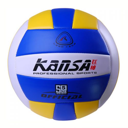 Ballon de volley - Ref 2010948