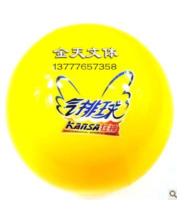Ballon de volley - Ref 2010949