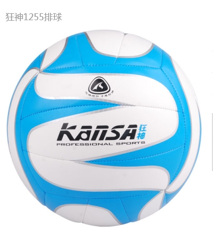Ballon de volley - Ref 2010950