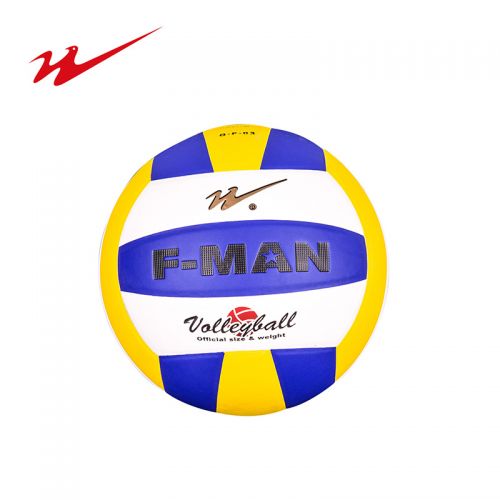 Ballon de volley DOUBLE STAR - Ref 2010960