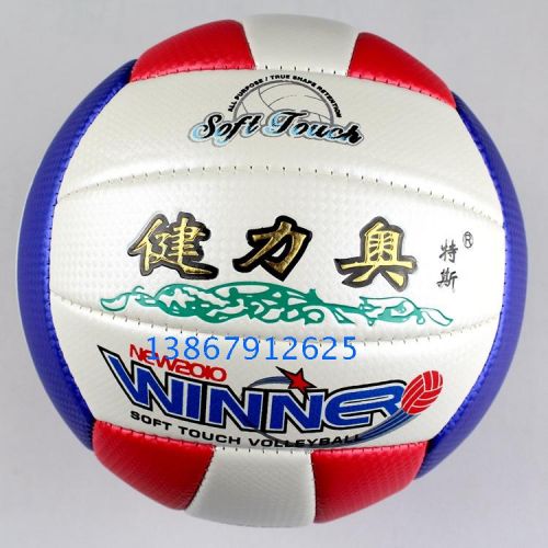 Ballon de volley - Ref 2010962