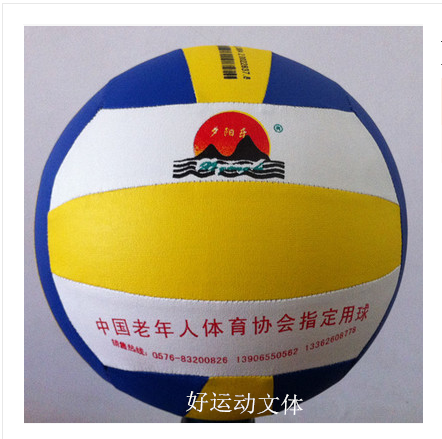 Ballon de volley - Ref 2010972