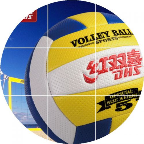 Ballon de volley - Ref 2010978