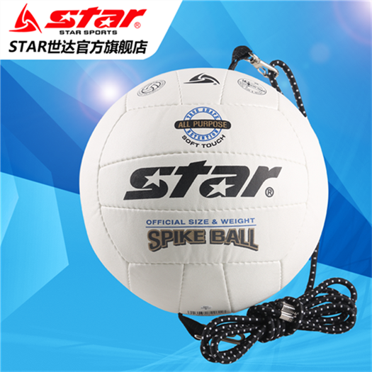 Ballon de volley - Ref 2010983