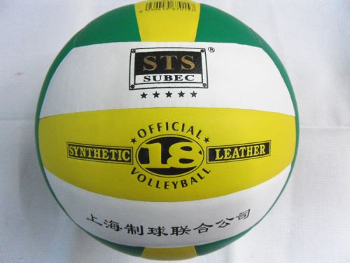 Ballon de volley - Ref 2010999