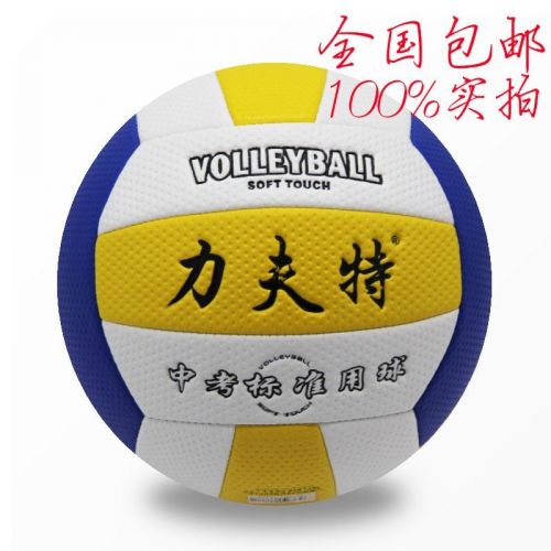 Ballon de volley - Ref 2011012