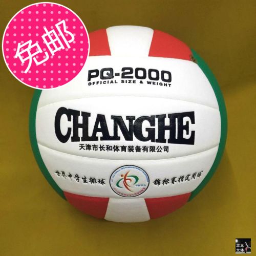 Ballon de volley - Ref 2011016