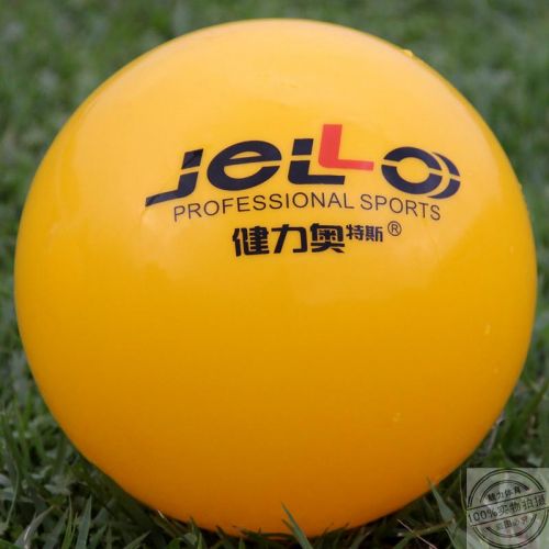 Ballon de volley - Ref 2011030