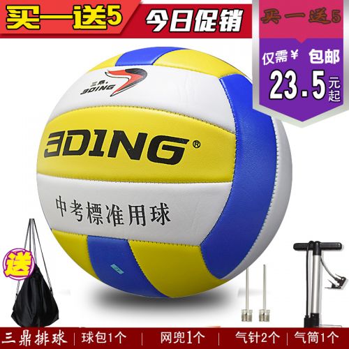 Ballon de volley - Ref 2011031
