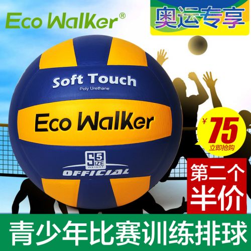 Ballon de volley ECO WALKER - Ref 2011041