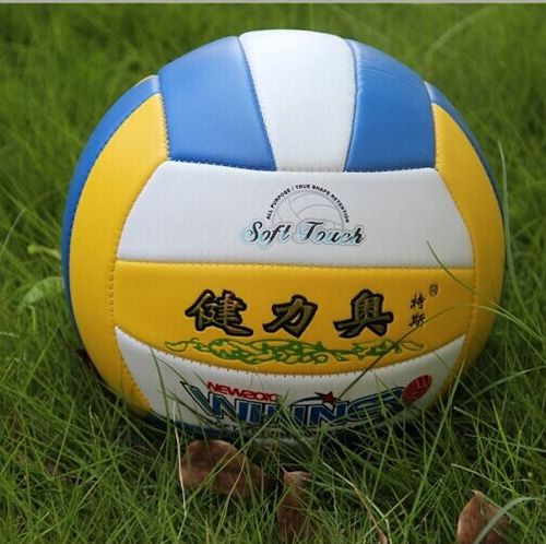 Ballon de volley - Ref 2011048
