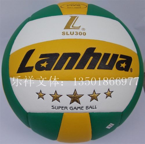 Ballon de volley - Ref 2011058
