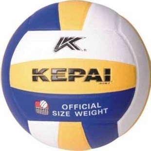 Ballon de volley - Ref 2011068
