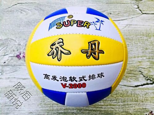 Ballon de volley - Ref 2011074