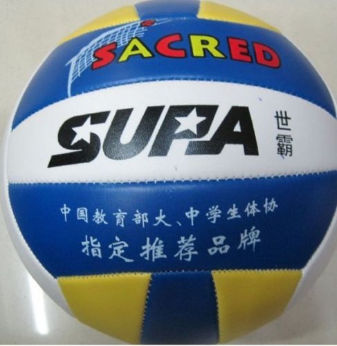 Ballon de volley - Ref 2011084