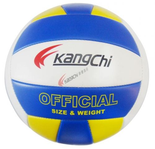Ballon de volley - Ref 2011087