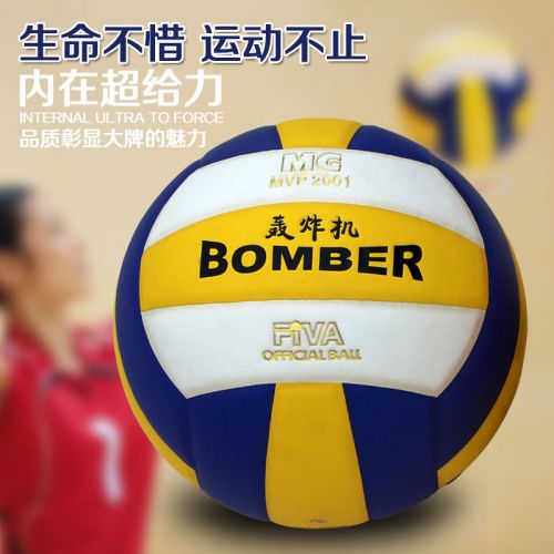 Ballon de volley - Ref 2011103