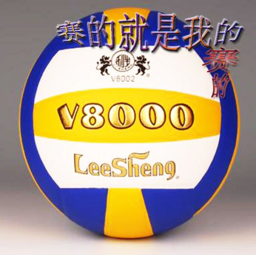 Ballon de volley - Ref 2011104