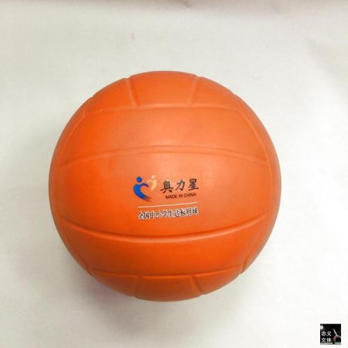 Ballon de volley - Ref 2011109
