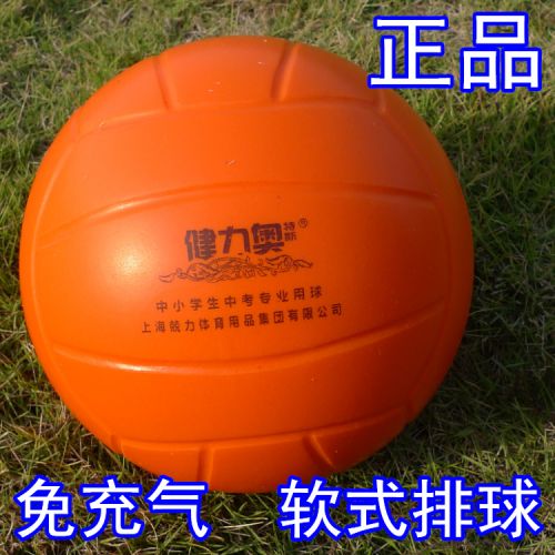 Ballon de volley - Ref 2011110