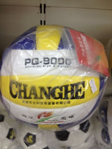 Ballon de volley - Ref 2011117