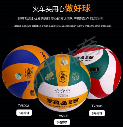Ballon de volley - Ref 2011118