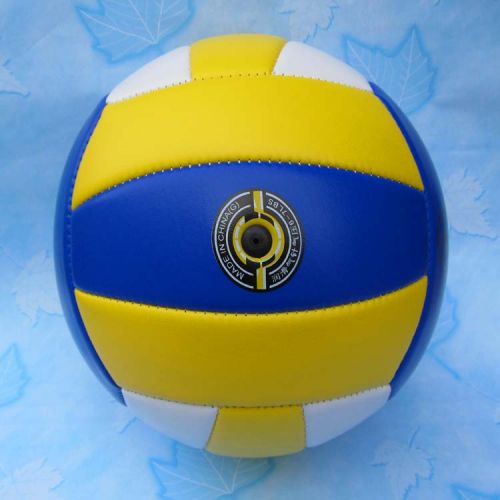Ballon de volley - Ref 2011123