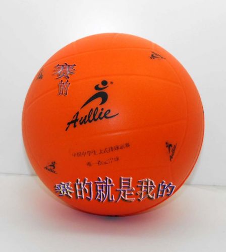 Ballon de volley - Ref 2011130