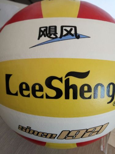 Ballon de volley - Ref 2011144