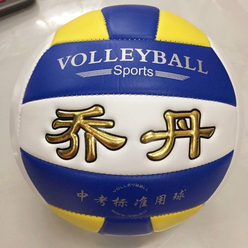 Ballon de volley - Ref 2011150