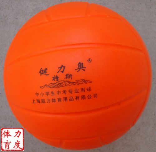 Ballon de volley - Ref 2011154