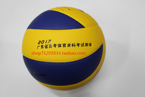 Ballon de volley - Ref 2011156
