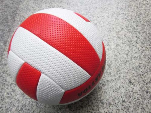 Ballon de volley - Ref 2011166