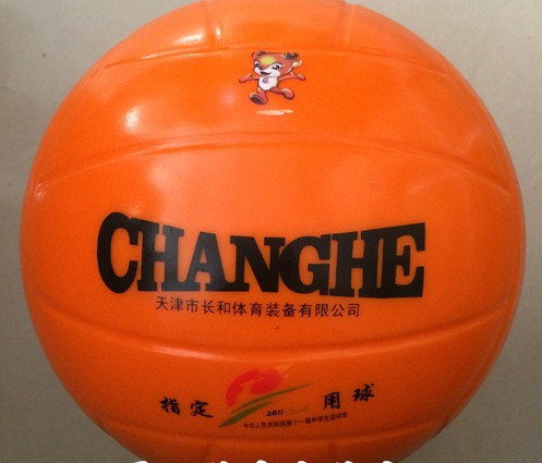 Ballon de volley - Ref 2011189
