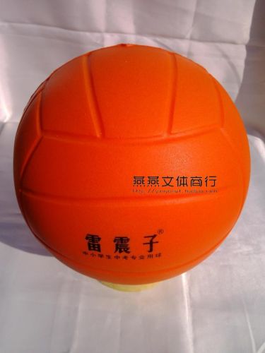 Ballon de volley - Ref 2011200