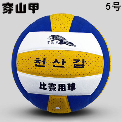 Ballon de volley - Ref 2011205