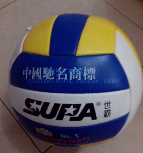 Ballon de volley - Ref 2011213