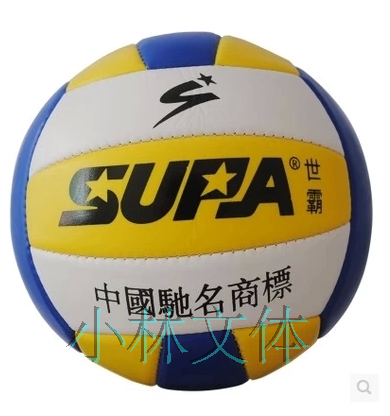 Ballon de volley - Ref 2011218