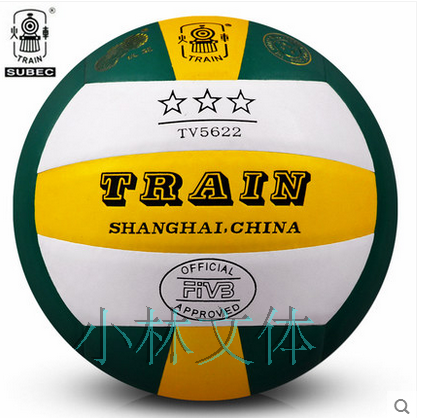 Ballon de volley - Ref 2011219