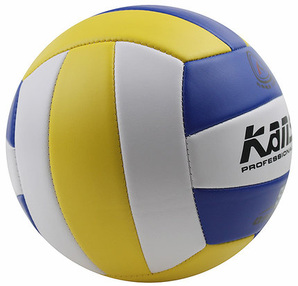 Ballon de volley - Ref 2011222