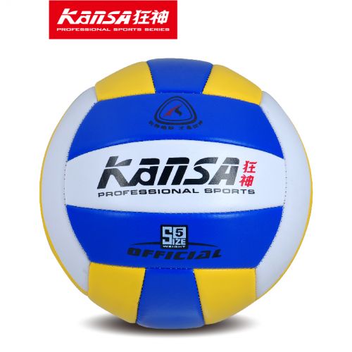 Ballon de volley - Ref 2011233