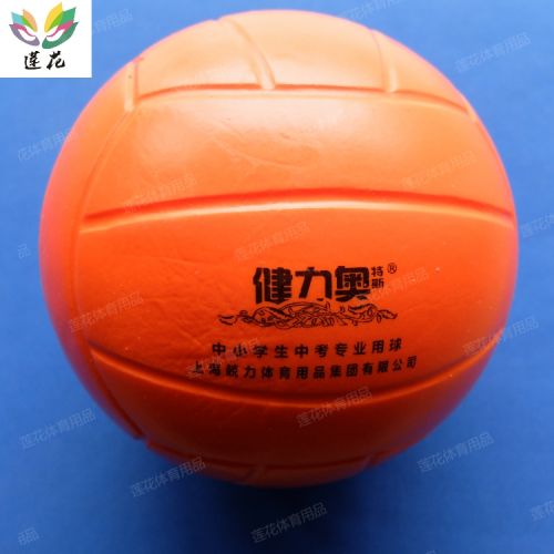 Ballon de volley - Ref 2011261