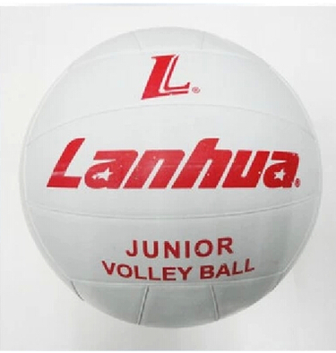 Ballon de volley - Ref 2011268